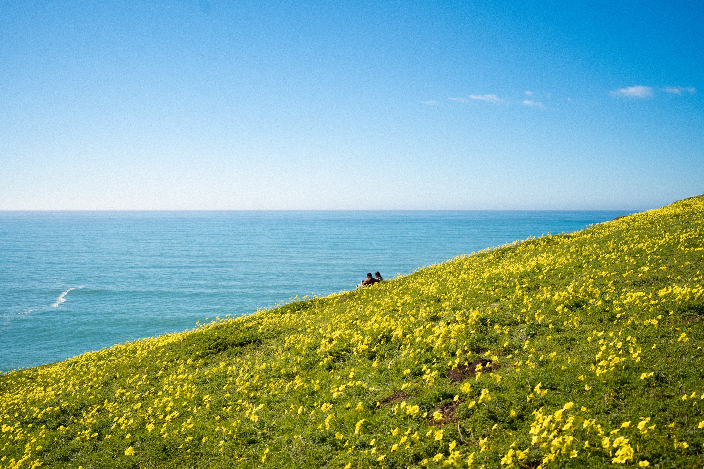 california — photograph 2
