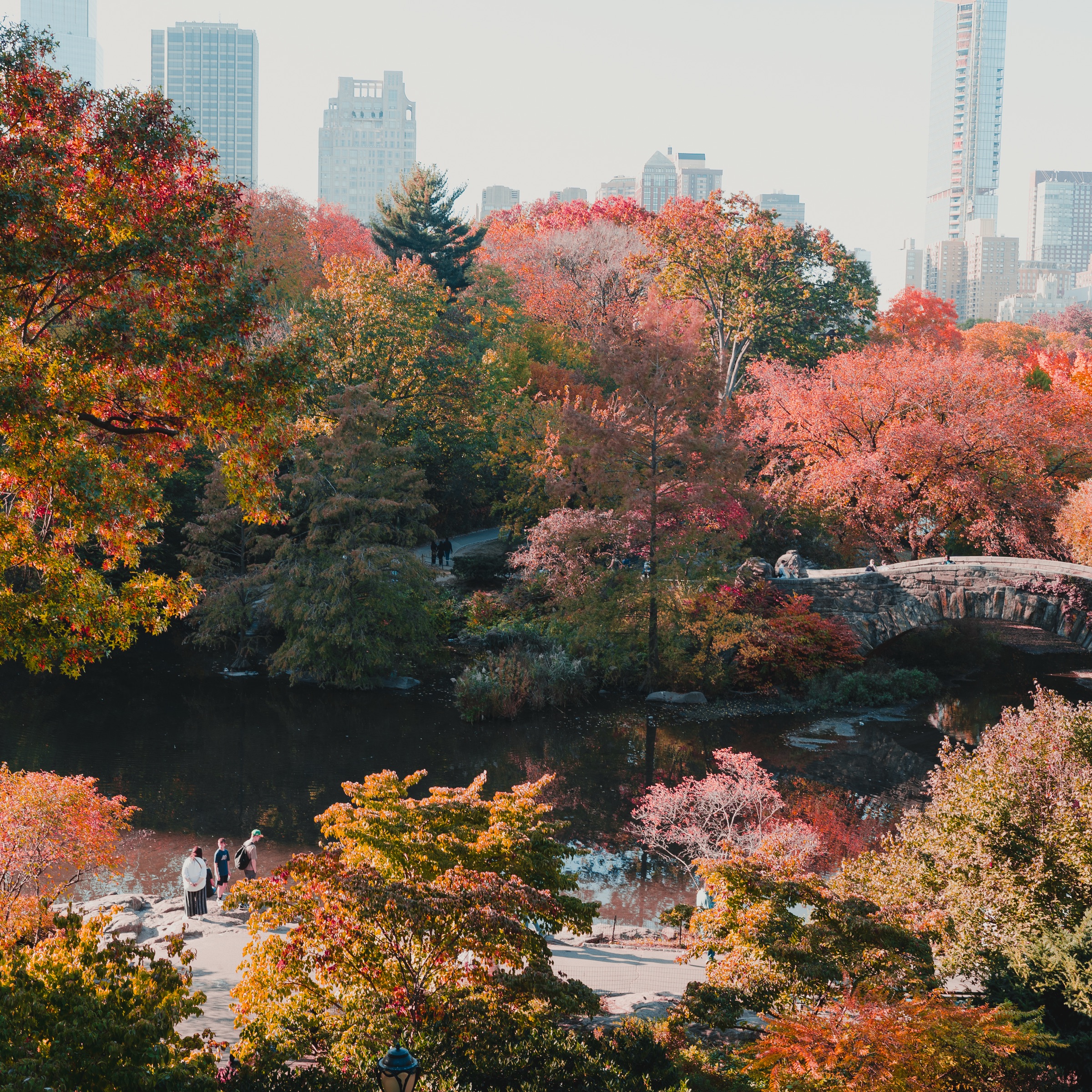 new york — photograph 3